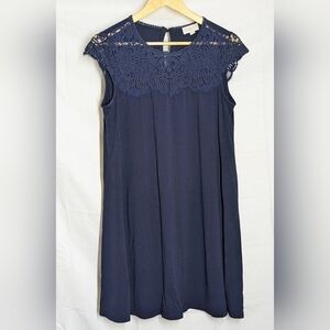 Navy Lace Trim Dress